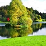 Avatar of Ammar Hussain