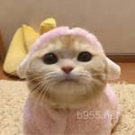 افتخار قریشی